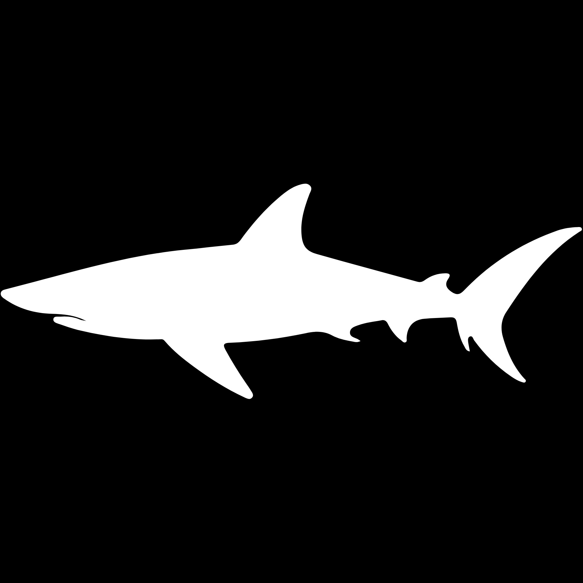 Heather Schmidt for Oxnard Harbor District